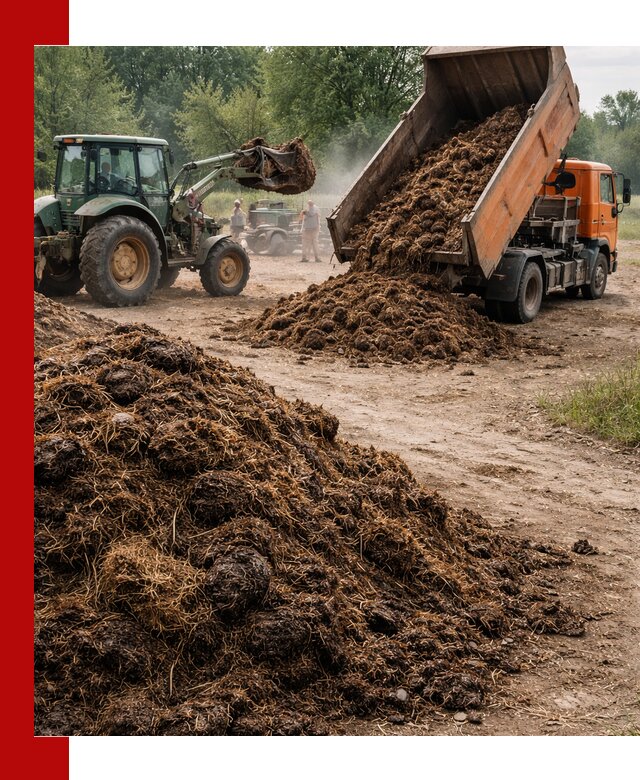 Доставка навоза самосвалами в Карасуке для сельхозпотребностей